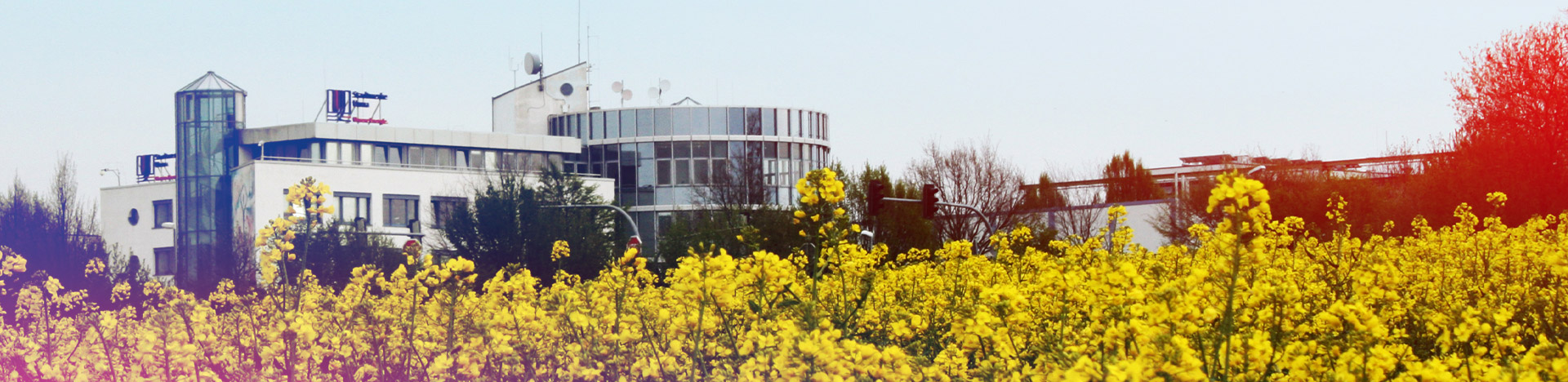 Verwaltungsgebäude der Stadtwerke Unna mit Rapsfeld im Vordergrund